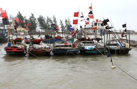 Với sự chủ động, tích cực của quân và dân Hải Phòng, nhiều tàu thuyền đã vào bờ neo đậu an toàn, nhằm giảm thiểu thiệt hại do bão số 2 gây ra.