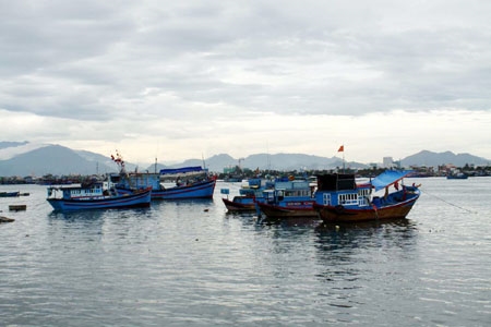 Các tàu, thuyền neo đậu tại Cảng nghỉ ngơi chuẩn bị cho chuyến đi biển sớm hôm sau.