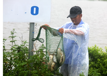 ...song vẫn mang lại kết quả như mong đợi.