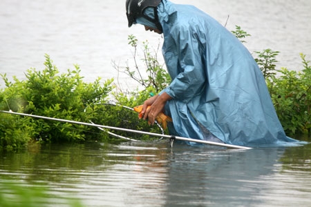 ...hoặc cần câu.