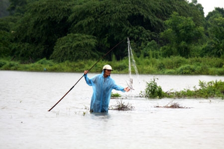 Đủ loại phương tiện được