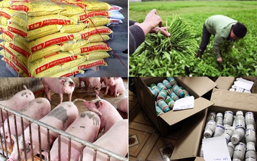 THỜ Ơ, BẢO KÊ VÀ CON SỐ “KHỦNG”