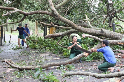 Cán bộ, chiến sĩ Trung đoàn 50 (Bộ CHQS TP Hải Phòng) giúp khắc phục hậu quả bão số 8 tại các trường học trên địa bàn thị xã Đồ Sơn, TP Hải Phòng