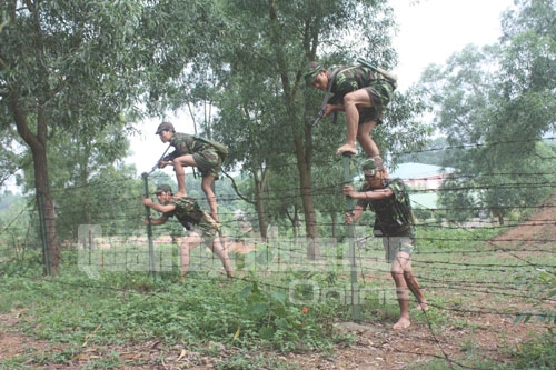 Và vượt qua hàng rào mái nhà