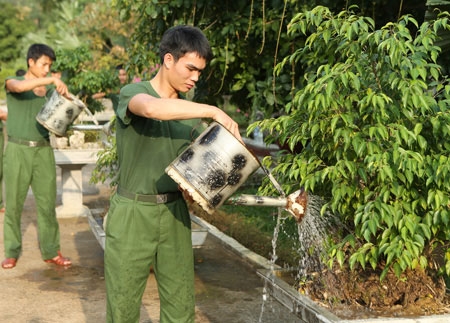 Hiện nay, tất cả các tiểu đoàn đều có khuôn viên xanh, sạch, đẹp...