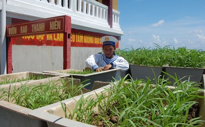 Bộ đội đảo chìm Tốc Tan tận dụng mọi khoảng trống để trồng rau xanh
