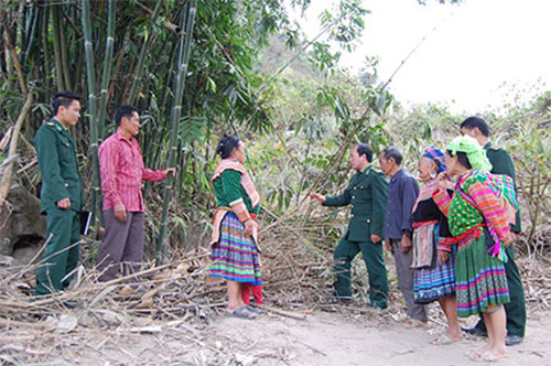 TRỒNG RỪNG GẮN VỚI BẢO VỆ RỪNG