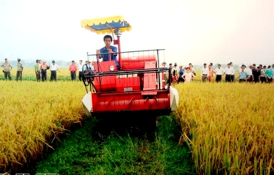 ĐỂ NÔNG THÔN MỚI XANH, SẠCH, ĐẸP