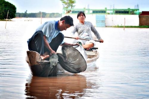 Hằng ngày, người lớn bận rộn với cuộc mưu sinh....