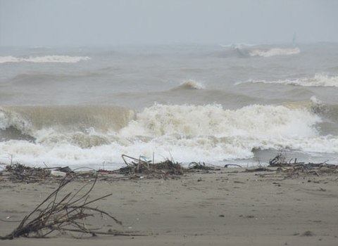CHỦ ĐỘNG TRƯỚC MÙA MƯA BÃO