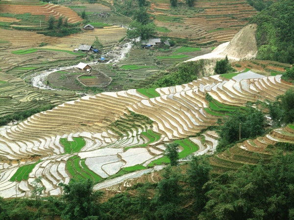 Bắc thang lên trời