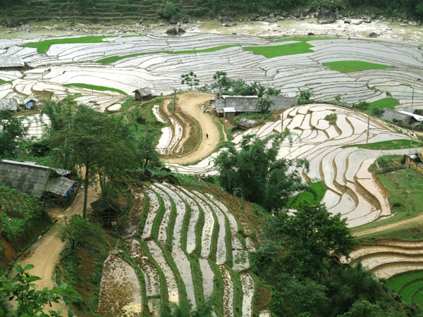 Cuộc sống của người dân tộc ở Sa Pa gắn liền với ruộng bậc thang