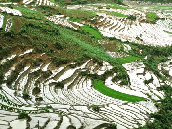 Nước đầy đủ cho vụ mùa bội thu