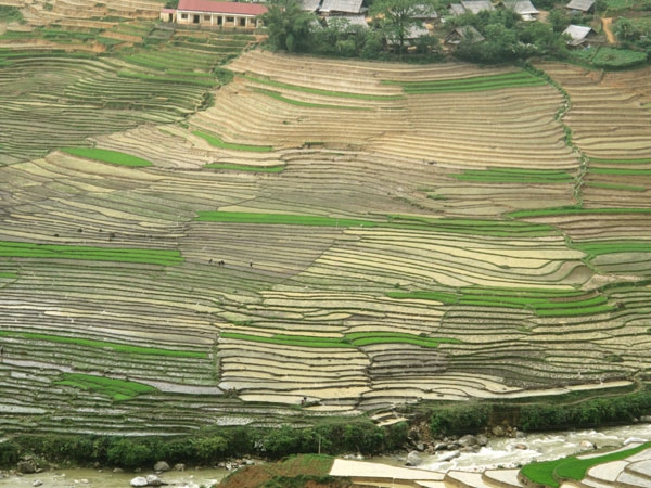 Ruộng bậc thang cũng có thể tạo ra khung cảnh kỳ vĩ