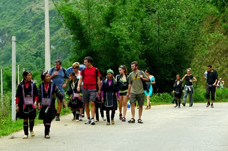 Hăm hở vào bản.