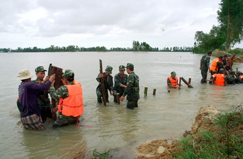 Bộ đội cùng nhân dân địa phương đóng cọc nắn dòng chảy, chống xói lở, tại đoạn bờ kênh bị vỡ thuộc xã Hưng Điền.