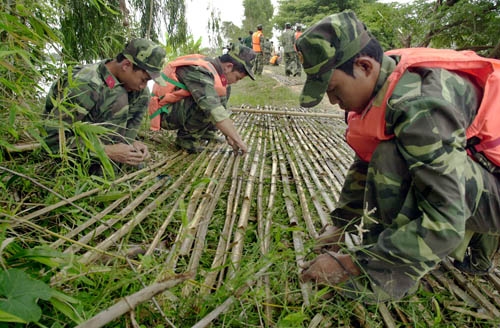Cán bộ, chiến sĩ đại đội bộ binh, Ban CHQS huyện Tân Hưng đan liếp để thả nắn dòng chảy của nước lũ.