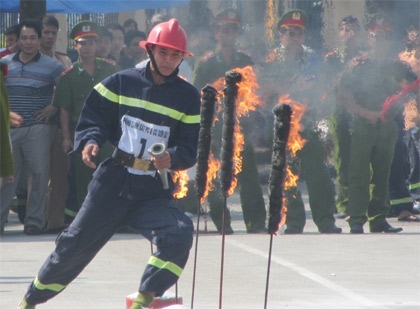 Bất chấp hiểm nguy.