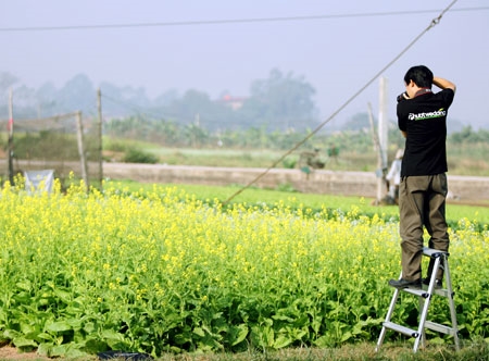 Luôn có sẵn thang để cho các “phó nháy” thuê