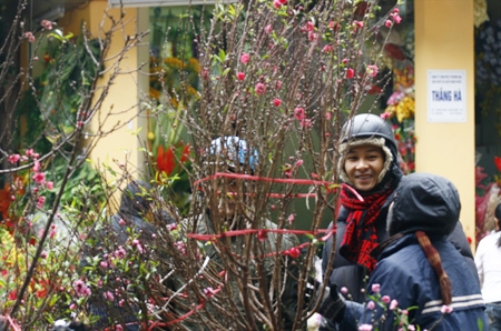 Những cánh đào mỏng manh đã vượt qua giá rét để tới với mùa xuân