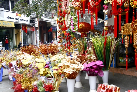 Đường phố rạng rỡ như một vườn hoa