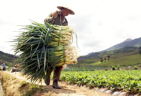 Vui mừng gánh những giọt “mồ hôi” trên vai