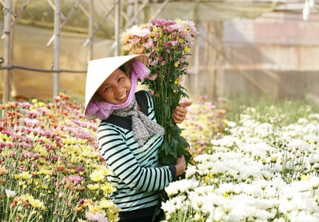 Sắc màu của Đà Lạt