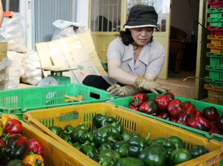 Người dân vui mừng thu hoạch rau và hoa quả