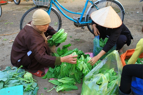 Sư thầy Thích Nữ Như Hiền thường đích thân đi chợ đầu mối từ sáng sớm, tự tay chọn những rau củ tươi ngon. Người bán hàng biết thầy làm những bữa cơm từ thiện nên thường bán với giá gốc