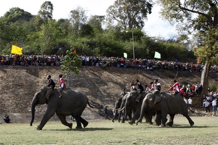 Những chú voi bật lên, lao về phía trước trong tiếng chiêng, trống và tiếng hò reo cổ vũ ầm vang cả núi rừng