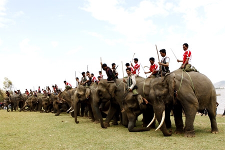 Cúi chào khán giả