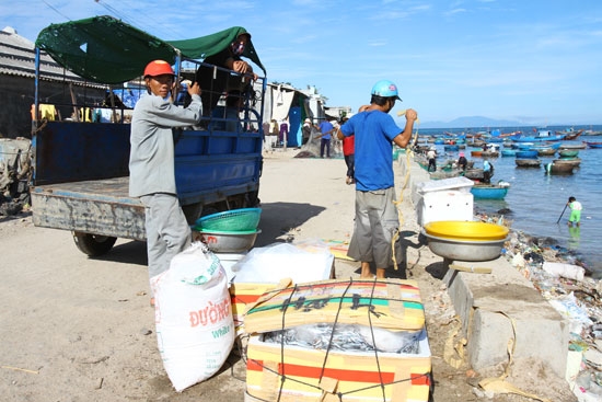 Người thu mua cá đã đợi sẵn trên bờ với những thùng xốp đầy đá