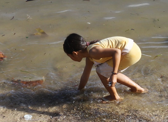 Trẻ em cũng tranh thủ đi “mót” từng chú cá