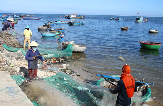 Cả bến rộn ràng theo từng nhịp gõ lưới