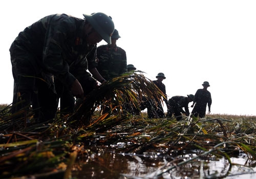 Diện tích bị ảnh hưởng rộng nên gần 1.000 cán bộ, chiến sĩ Trung đoàn 8 luôn căng mình giúp dân