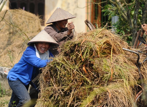 Niềm vui của người dân khi được Bộ đội cụ Hồ giúp cứu lúa