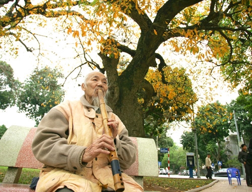 Tiếng tiêu thật sâu lắng về Hà Nội của cụ Lê Quang Châu, 81 tuổi góp phần làm nên vẻ đẹp của cây lộc vừng