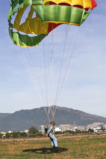Những bông hoa trên bầu trời phố biển Nha Trang