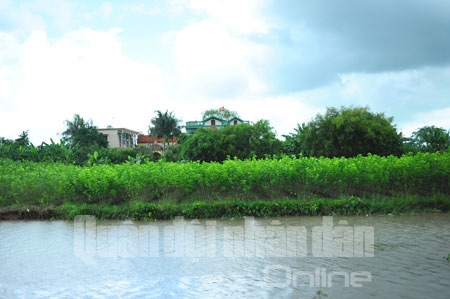 Những ruộng dâu xanh mướt ở làng đã ít dần vì hiện nay làng chủ yếu làm nghề kéo kén, se tơ là chính