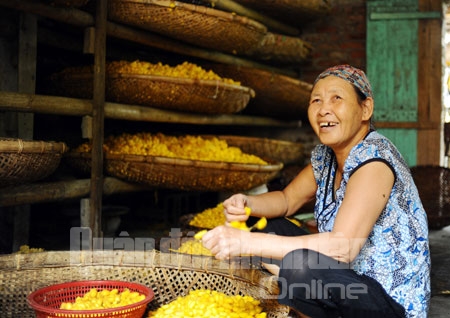 Chuẩn bị kén cho vào lò kéo thành sợi