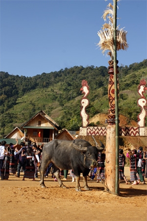 Cột X’nur được chạm trổ công phu do các già làng nhiều kinh nghiệm chọn từ những cây gỗ tốt và dựng cạnh nhà Gươl để làm nơi buộc trâu