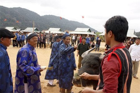 Vật hiến tế là con trâu đực, béo tốt, khỏe mạnh và có cặp sừng đẹp.