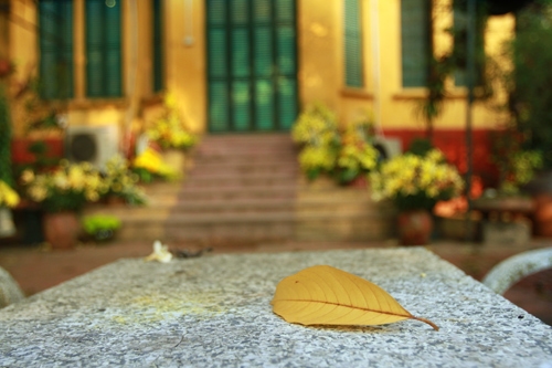 Bộ bàn ghế trước cửa chính ngôi nhà có từ năm 1963, là nơi Đại tướng thường ngồi nghỉ ngơi, đọc sách báo, bàn việc nước… nay đã vắng bóng Người.