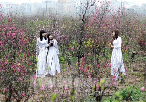 Mùa xuân đến xua tan giá rét, tô hồng má người thiếu nữ Hà Thành