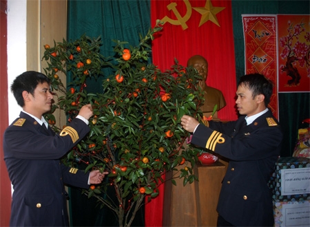 Quýt ngọt trên đảo Trần do cán, bộ chiến sĩ trồng là một “đặc sản” được trưng bày nơi trang trọng nhất của đơn vị trong dịp Tết Nguyên đán