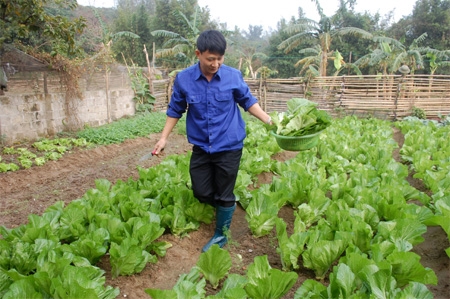 Không chỉ hoàn thành tốt nhiệm vụ huấn luyện, SSCĐ, bộ đội trên các trạm còn tích cực tăng gia sản xuất cải thiện đời sống
