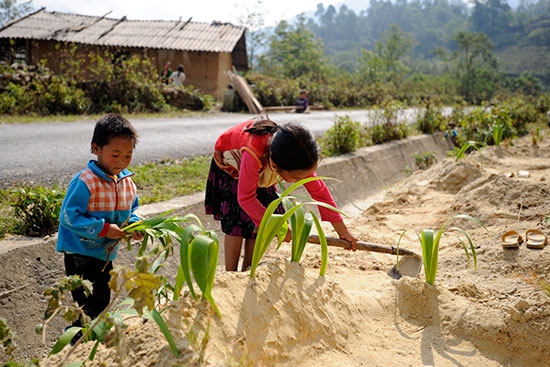 Cần mẫn, chăm chỉ làm công việc như bố mẹ vẫn ngày ngày lao động trên nương