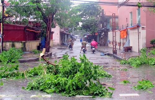 Hải Phòng “xác xơ” do ảnh hưởng của bão số 5.