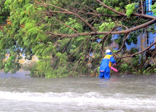 Nhân viên Công ty thoát nước gặp nhiều khó khăn khi xử lý hệ thống cống thoát nước.