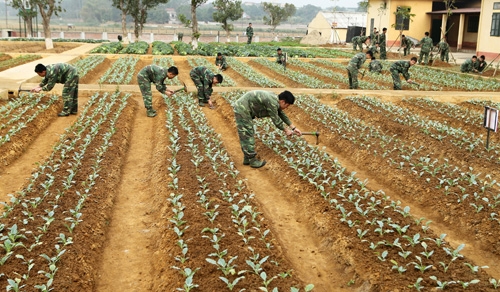 Giờ nghỉ cũng không ít chiến sĩ, nhất là vùng cao thích thú với công việc chăm sóc vườn rau sạch xanh mướt.